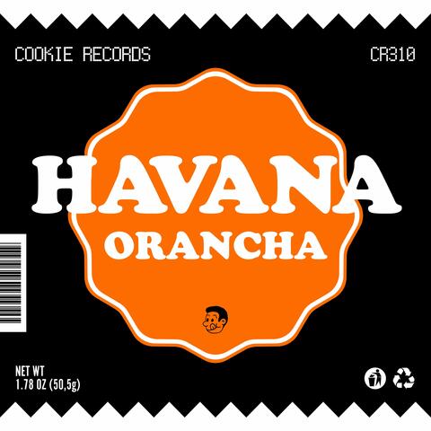 Havana album art