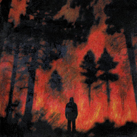 FORÊT album art