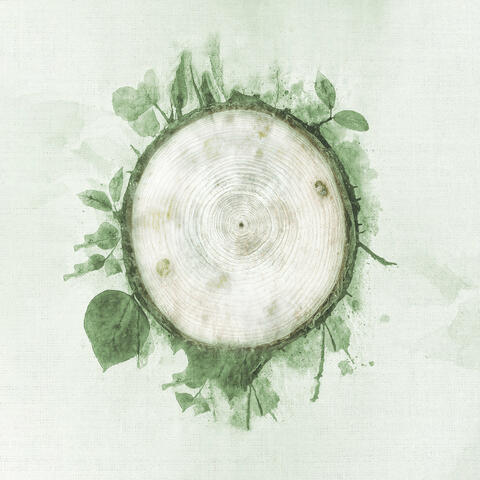 Rebirth album art