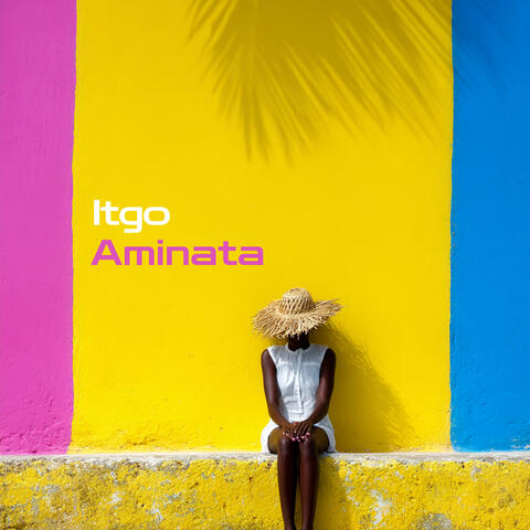 Aminata album art