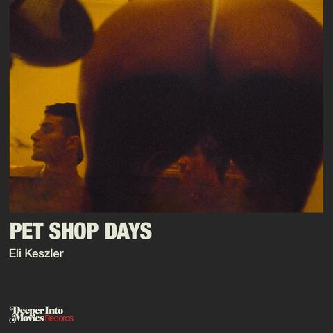Pet Shop Days album art