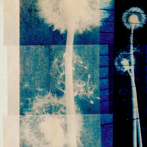 Dissonant Hearts album art