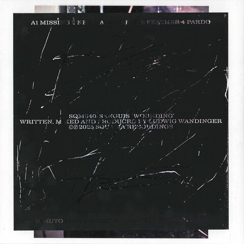 Wounding album art