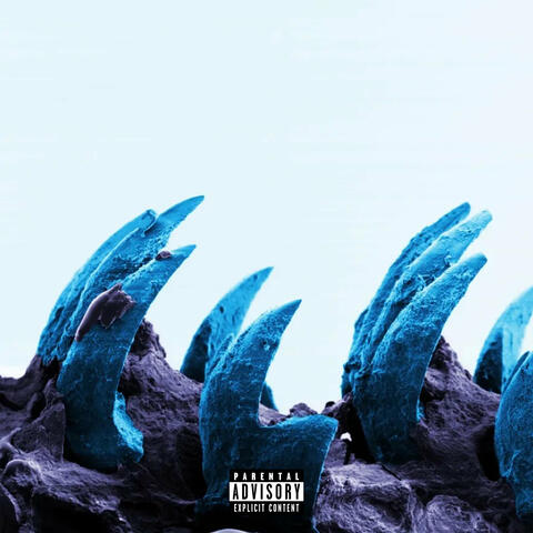 Raw Materials album art