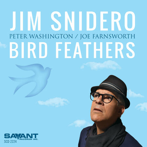 Bird Feathers album art