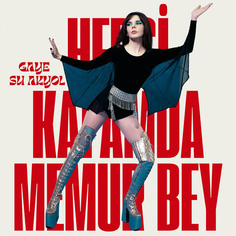 Hepsi Kafamda Memur Bey album art