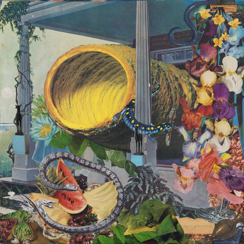 Pruning album art