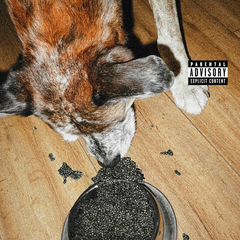 Du caviar pour mon chien album art