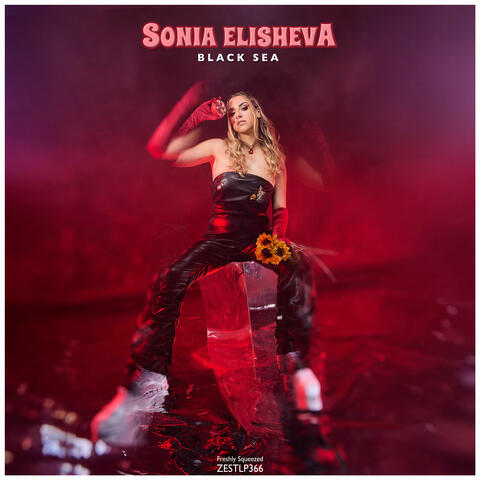 Black Sea album art