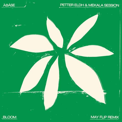 Bloom album art