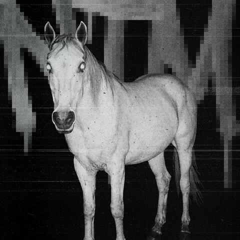 NTM album art