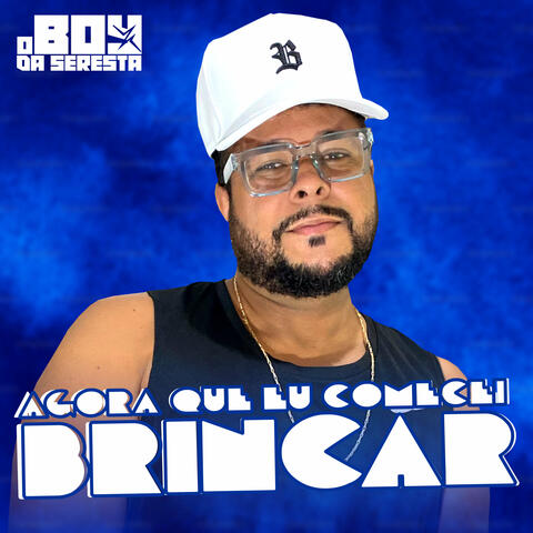 Agora Que Eu Comecei Brincar album art
