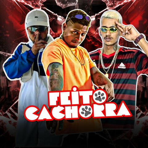 Feito Cachorra album art