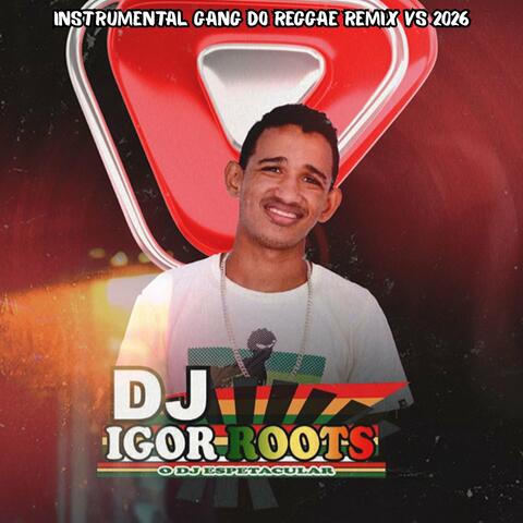 Instrumental Gang do Reggae Remix Vs 2026 album art