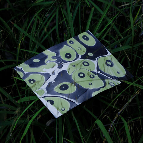 Rafting / Tall Grass album art