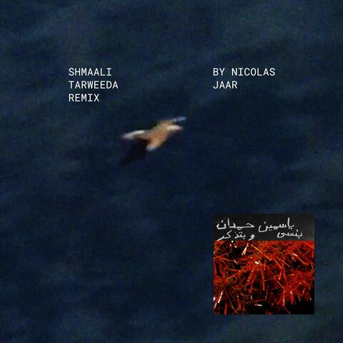 Shmaali شمالي Tarweeda album art