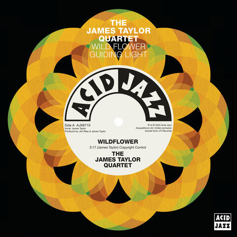 Wildflower / Guiding Light album art