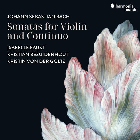 J. S. Bach: Sonata for Violin and Continuo in G Major, BWV 1021: III. Largo album art