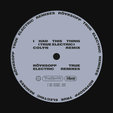 I Had This Thing album art