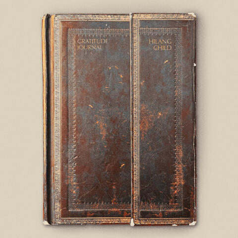Gratitude Journal album art