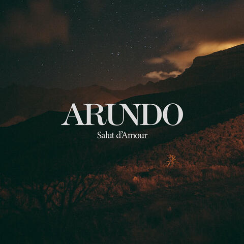 Salut D'Amour album art