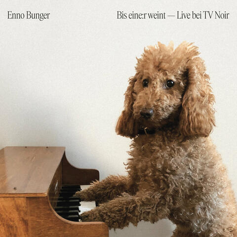 Bis eine:r weint album art