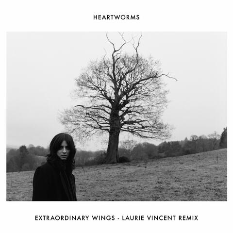 Extraordinary Wings album art