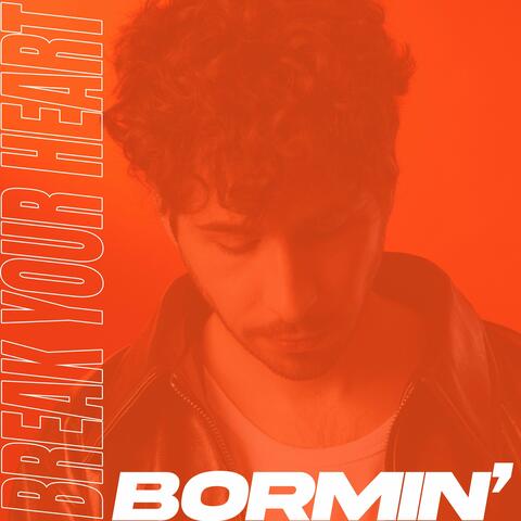Break Your Heart album art