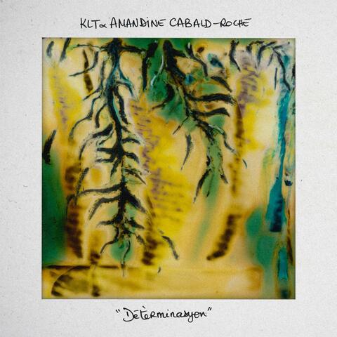 Détèrminasyon album art