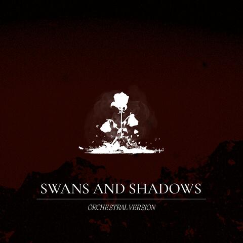 Swans And Shadows album art
