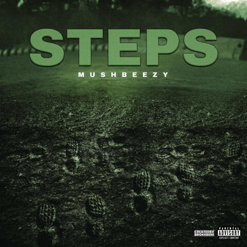 Steps album art