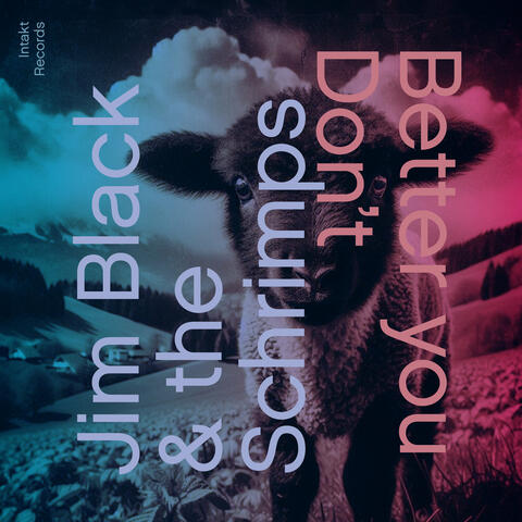 Cane di Male album art