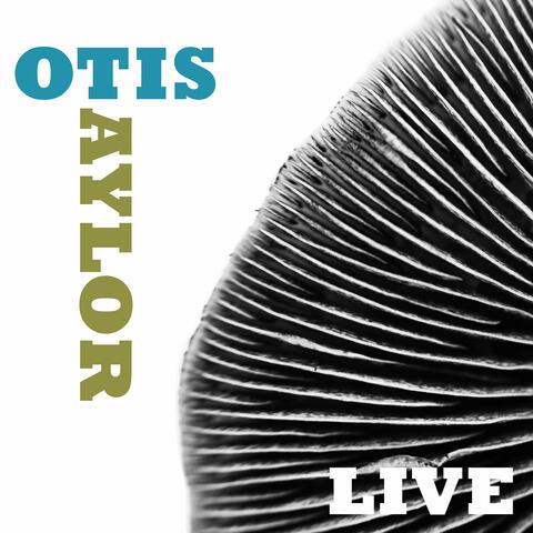 Otis Taylor Live album art