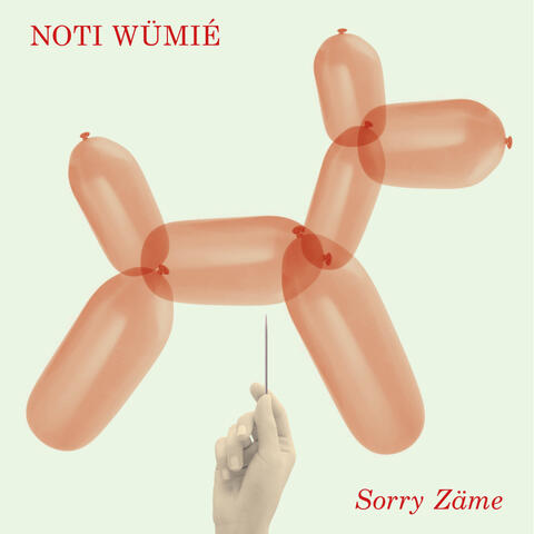 Sorry Zäme album art