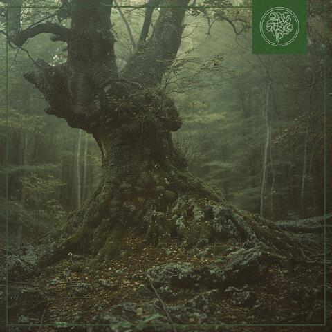 Deep in the Woods album art