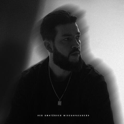 DEN UMSTÄNDEN WIDERSPRECHEND album art