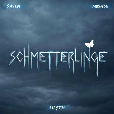 Schmetterlinge album art
