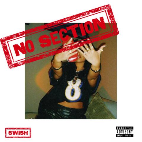 No Section album art