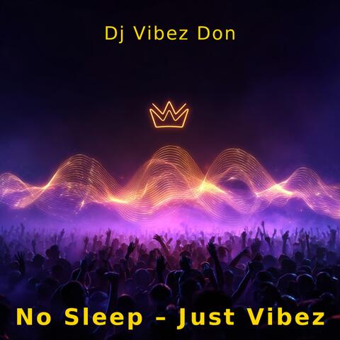 No Sleep-Just Vibez album art