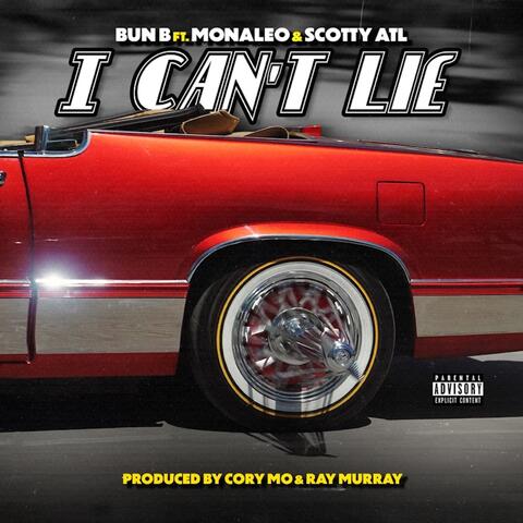 I Can't Lie album art