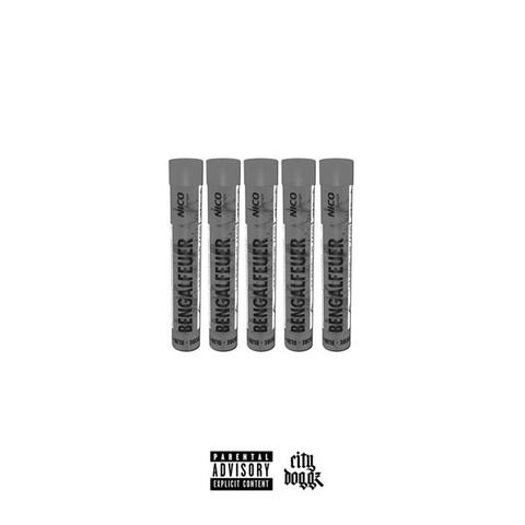 WAS ISCH MIT DIM G PASSIERT ? album art