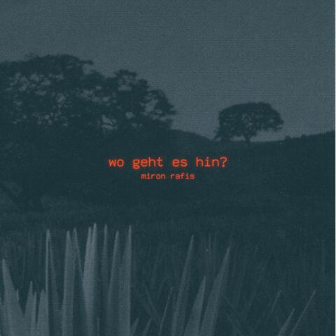 wo geht es hin? album art