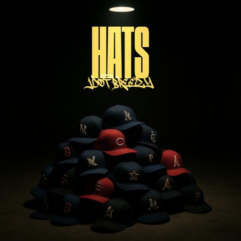 HATS album art