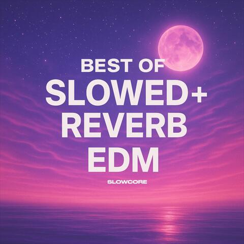 Best of Slowed & Reverb Edm album art