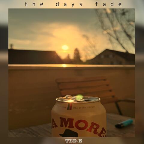 The Days Fade album art