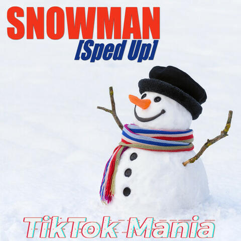 Snowman album art