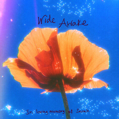 Wide Awake album art