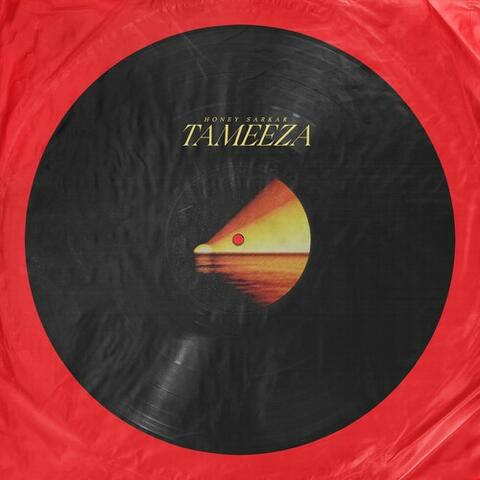 Tameeza album art