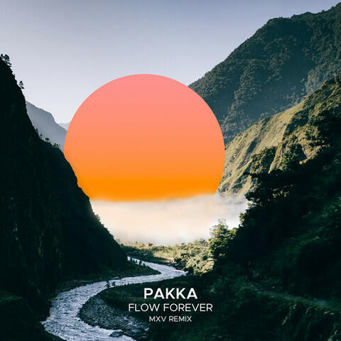 Flow Forever album art