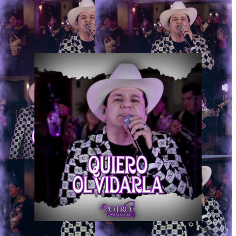 Quierro Olvidarla album art